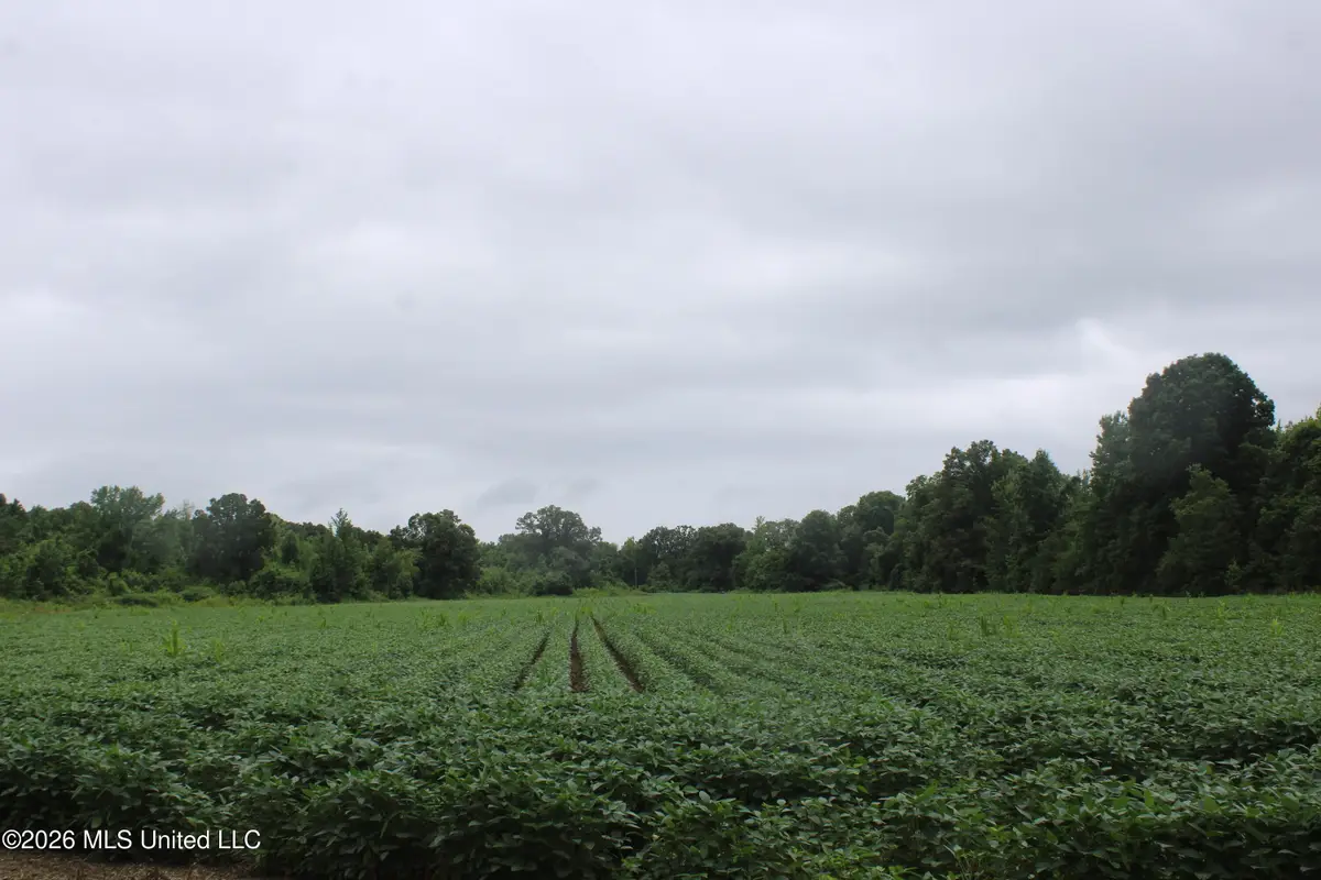 1500 Allen Corner Road, Lamar, MS 38642 - #1