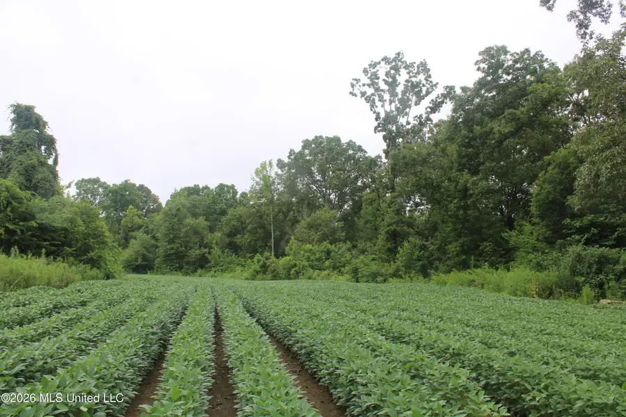 1500 Allen Corner Road, Lamar, MS 38642 - #2