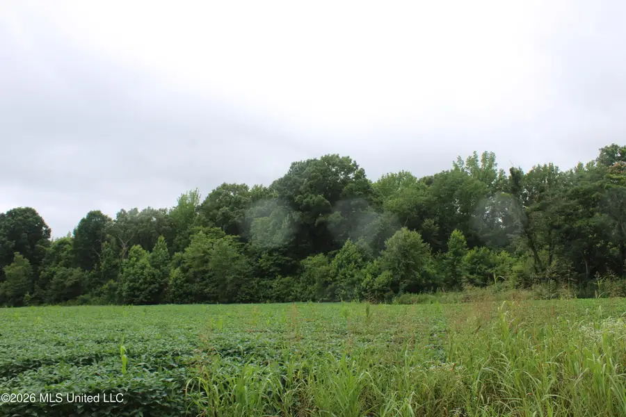 1500 Allen Corner Road, Lamar, MS 38642 - #3
