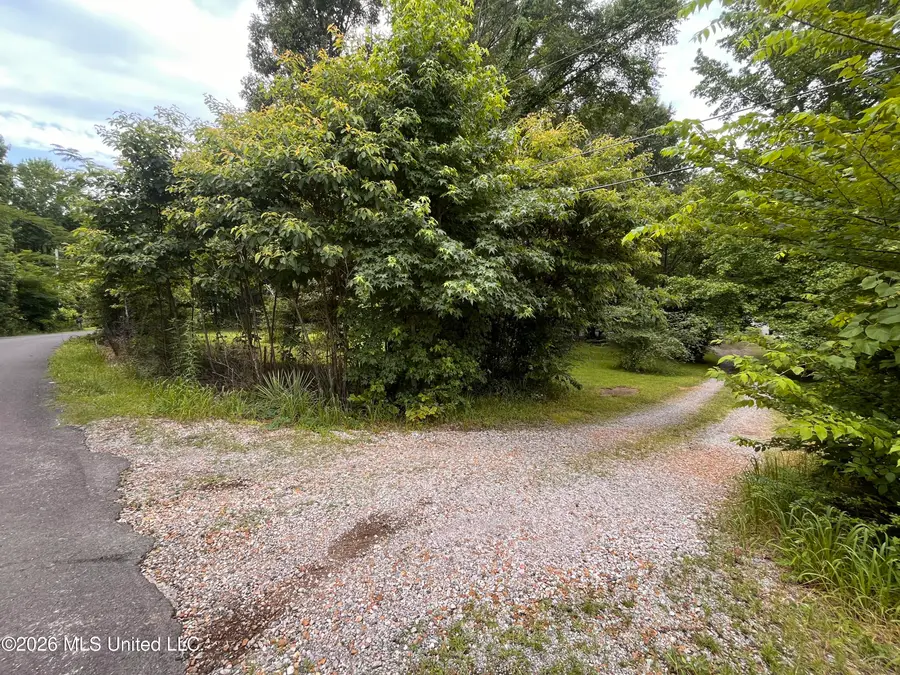 53 Lenzi Road, Byhalia, MS 38611 - #2
