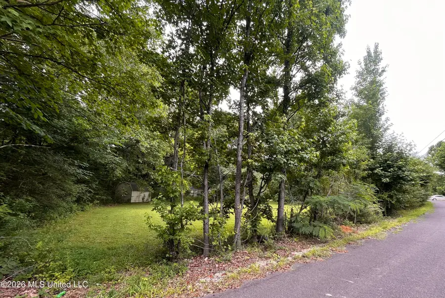 53 Lenzi Road, Byhalia, MS 38611 - #3