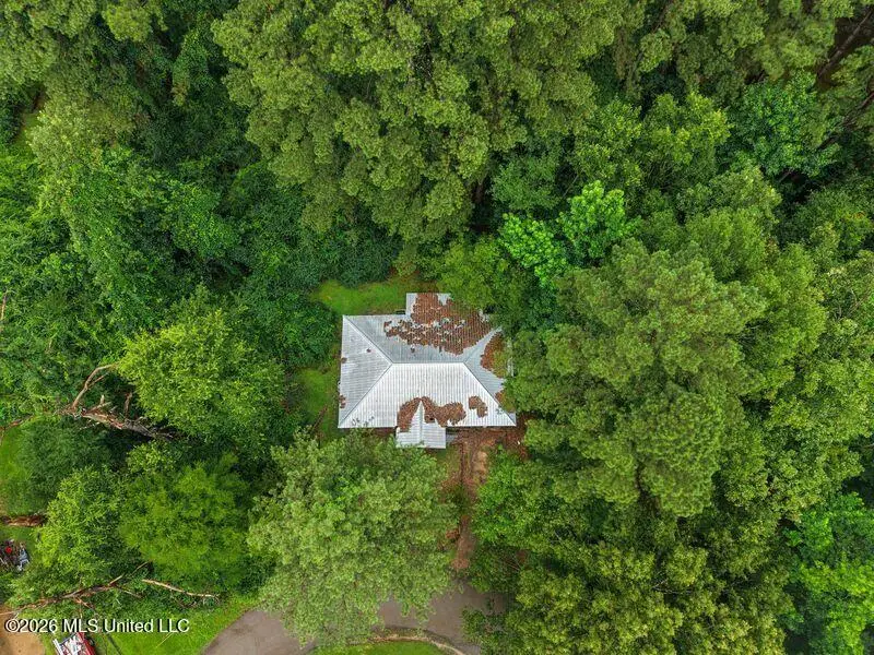 313 E Dewey Camp Drive, Florence, MS 39073 - #3