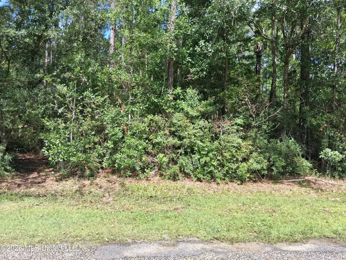 E Forrest Street, Bay Saint Louis, MS 39520 - #1