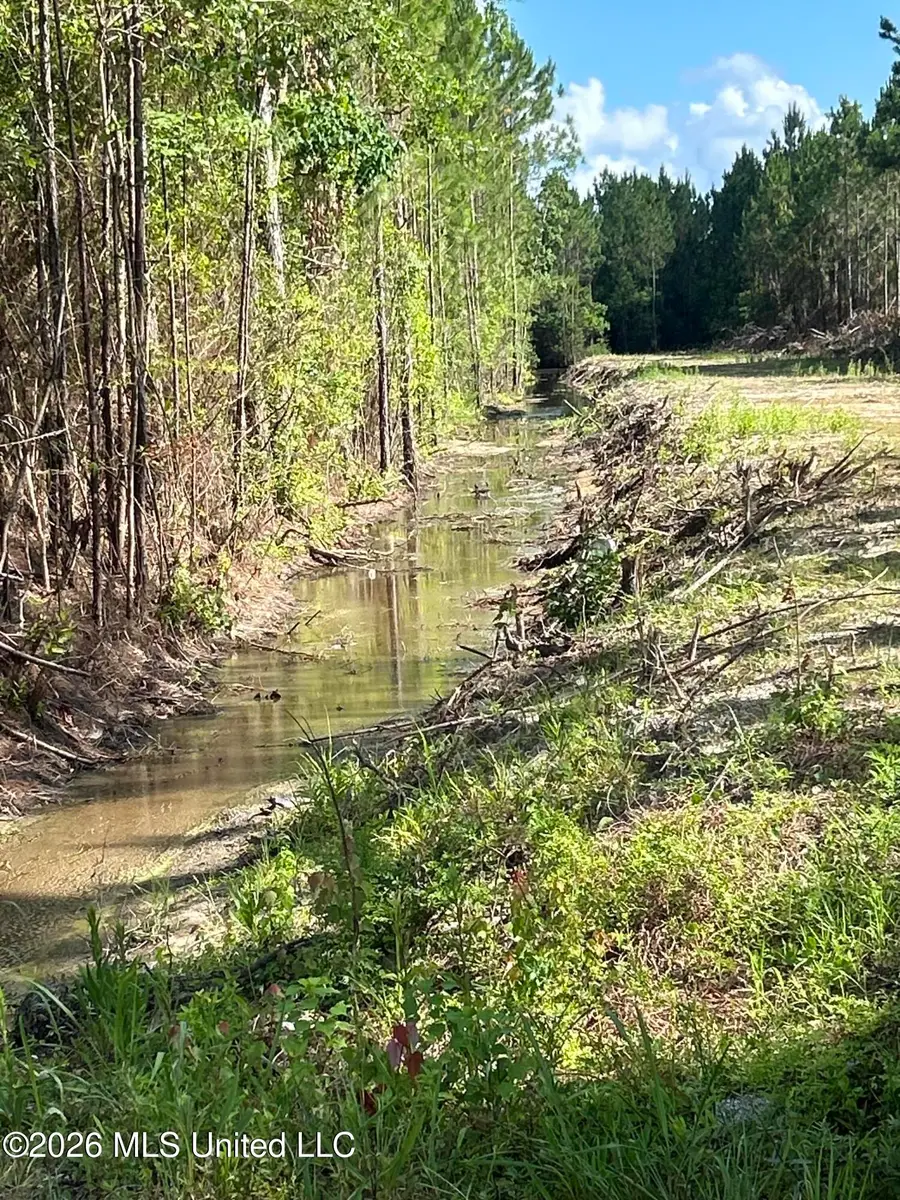 Norman, Gautier, MS 39553 - #2