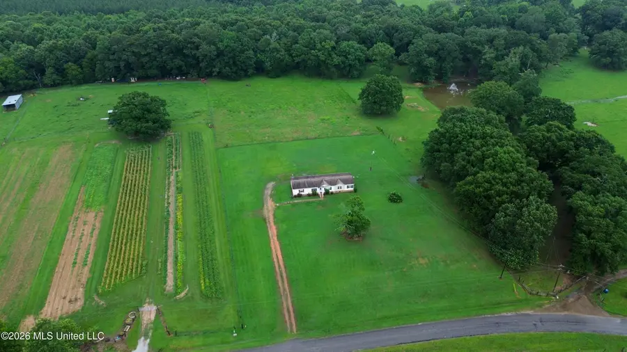 749 J Burnham Road, Pelahatchie, MS 39145 - #3