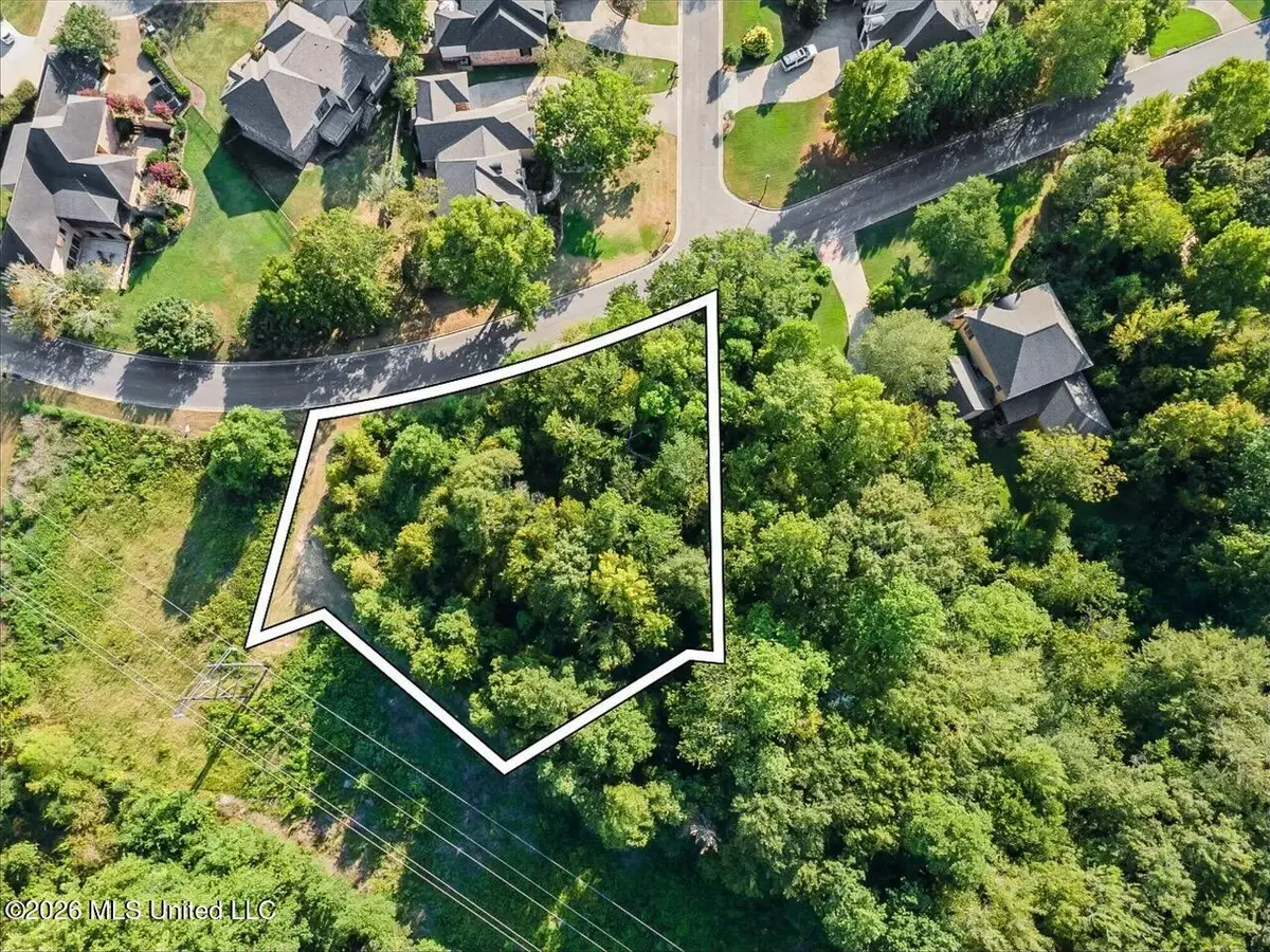 0 Pecan Acres, Hattiesburg, MS 39402 - #1