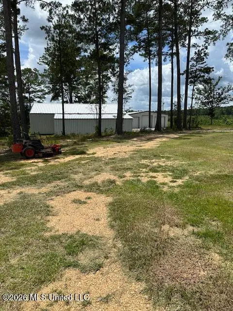 120 Eula Grayson Road, Mendenhall, MS 39114 - #3