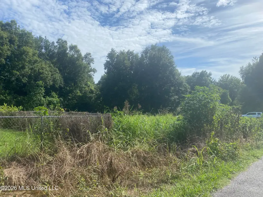 Bingham Street, Clayton, LA 71326 - #3