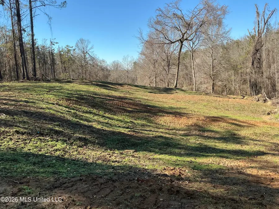 Norwood Road, Carrollton, MS 38917 - #3