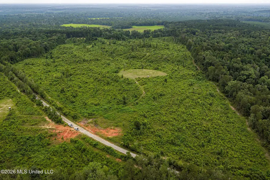 Mary Wall Bridge Rd/mt Vernon, Liberty, MS 39645 - #2