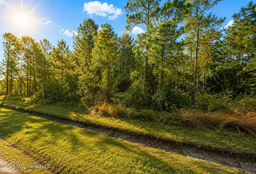 Milan Street, Waveland, MS 39520 - #2