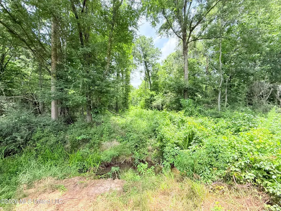 Summit Drive, Summit, MS 39666 - #2