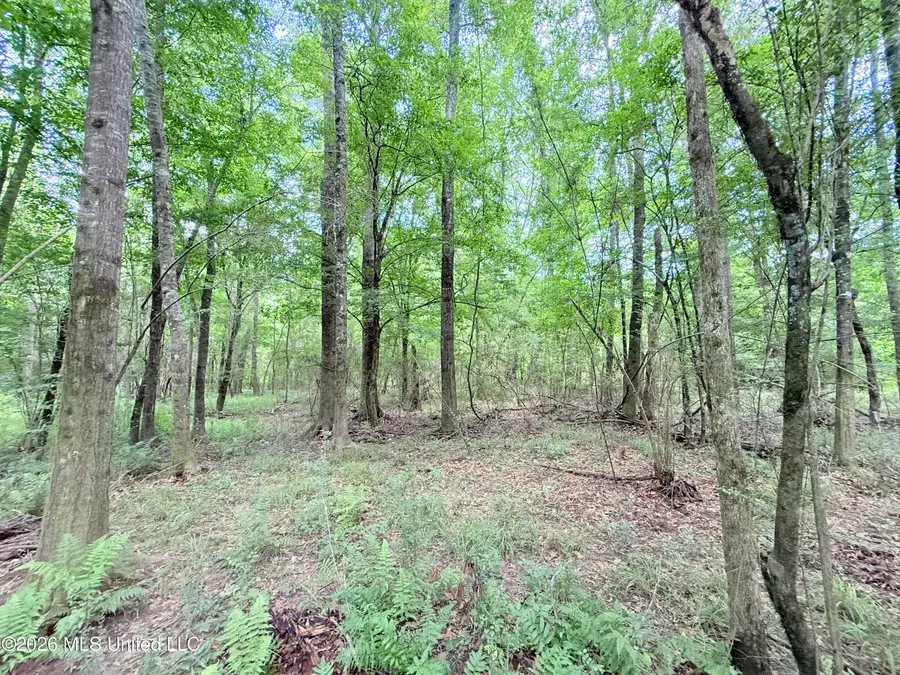 Summit Drive, Summit, MS 39666 - #3