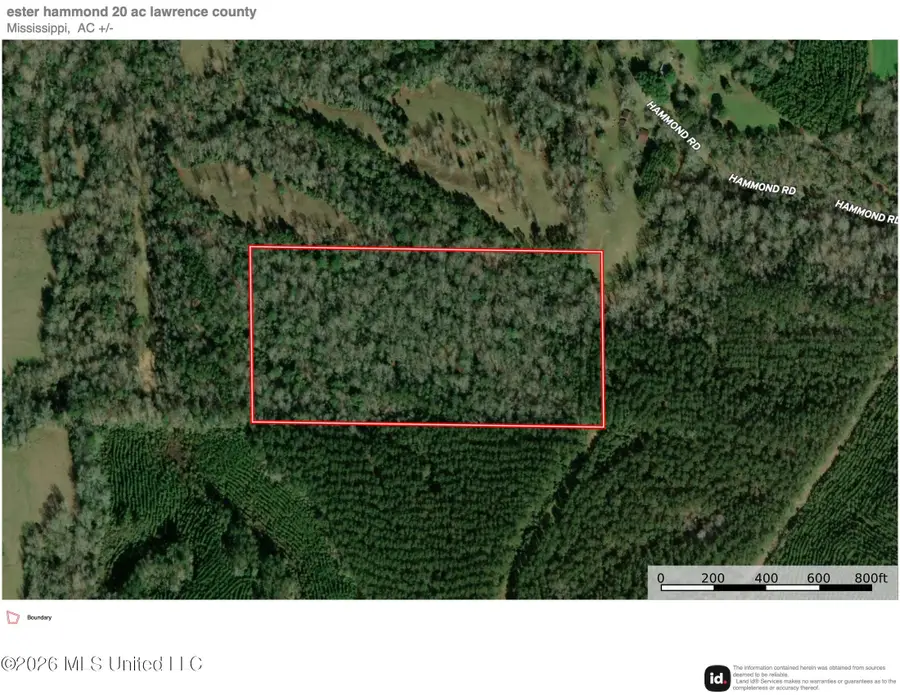 Hammond Road, Monticello, MS 39654 - #2