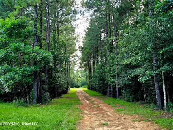 1189 Shady Grove Road, Osyka, MS 39657