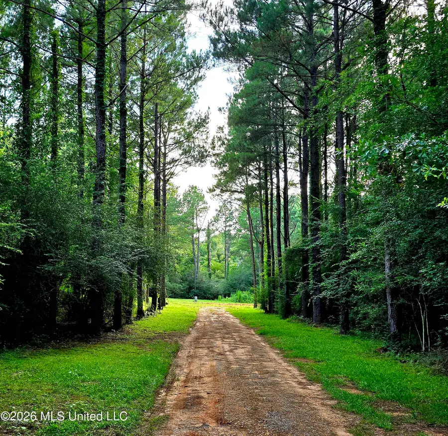 1189 Shady Grove Road, Osyka, MS 39657 - #2