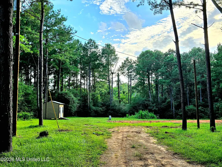 1189 Shady Grove Road, Osyka, MS 39657 - #3