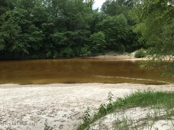 0 City Bridge Road, Perkinston, MS 39573