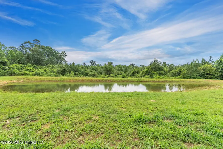 83 Walker Cemetery Road, Perkinston, MS 39573 - #2