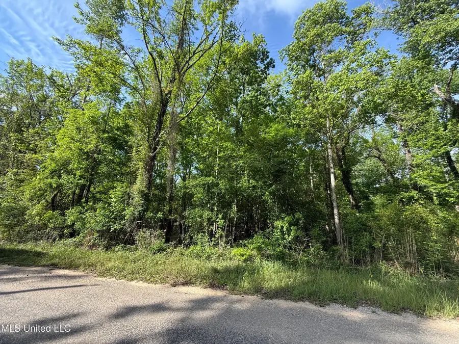 Nhn Maple Dr, Lucedale, MS 39452 - #3