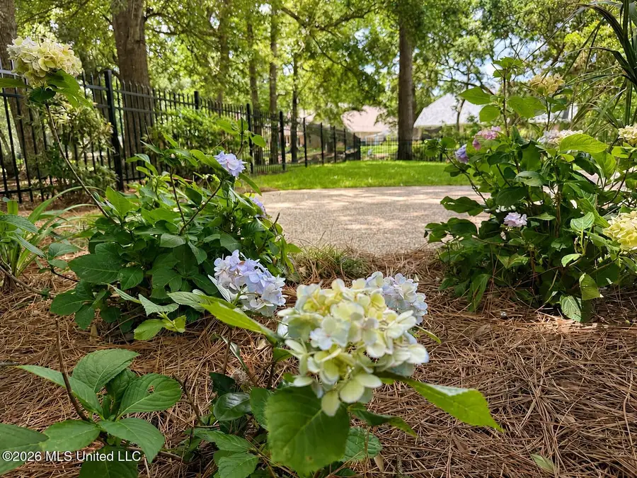 3841 Chaumont Circle, Ocean Springs, MS 39564 - #2