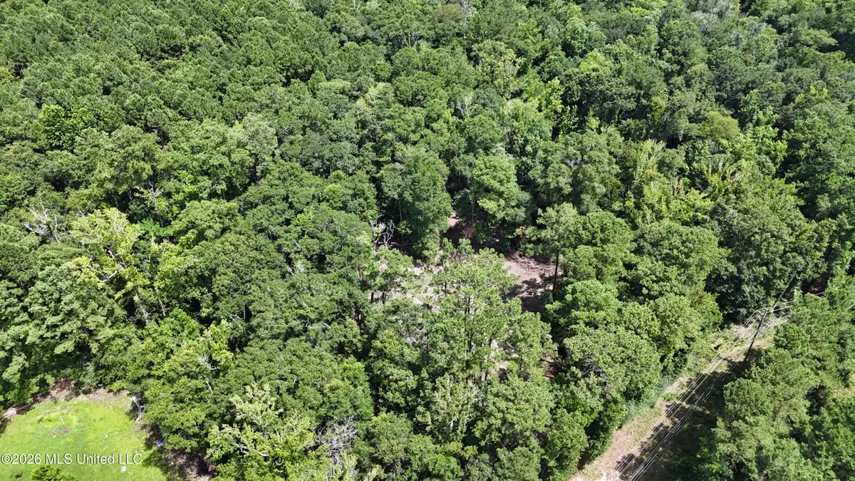 Old Dees Drive, Vancleave, MS 39565 - #1