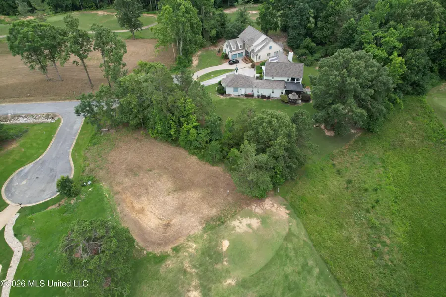 Nelson Drive, Holly Springs, MS 38635 - #3