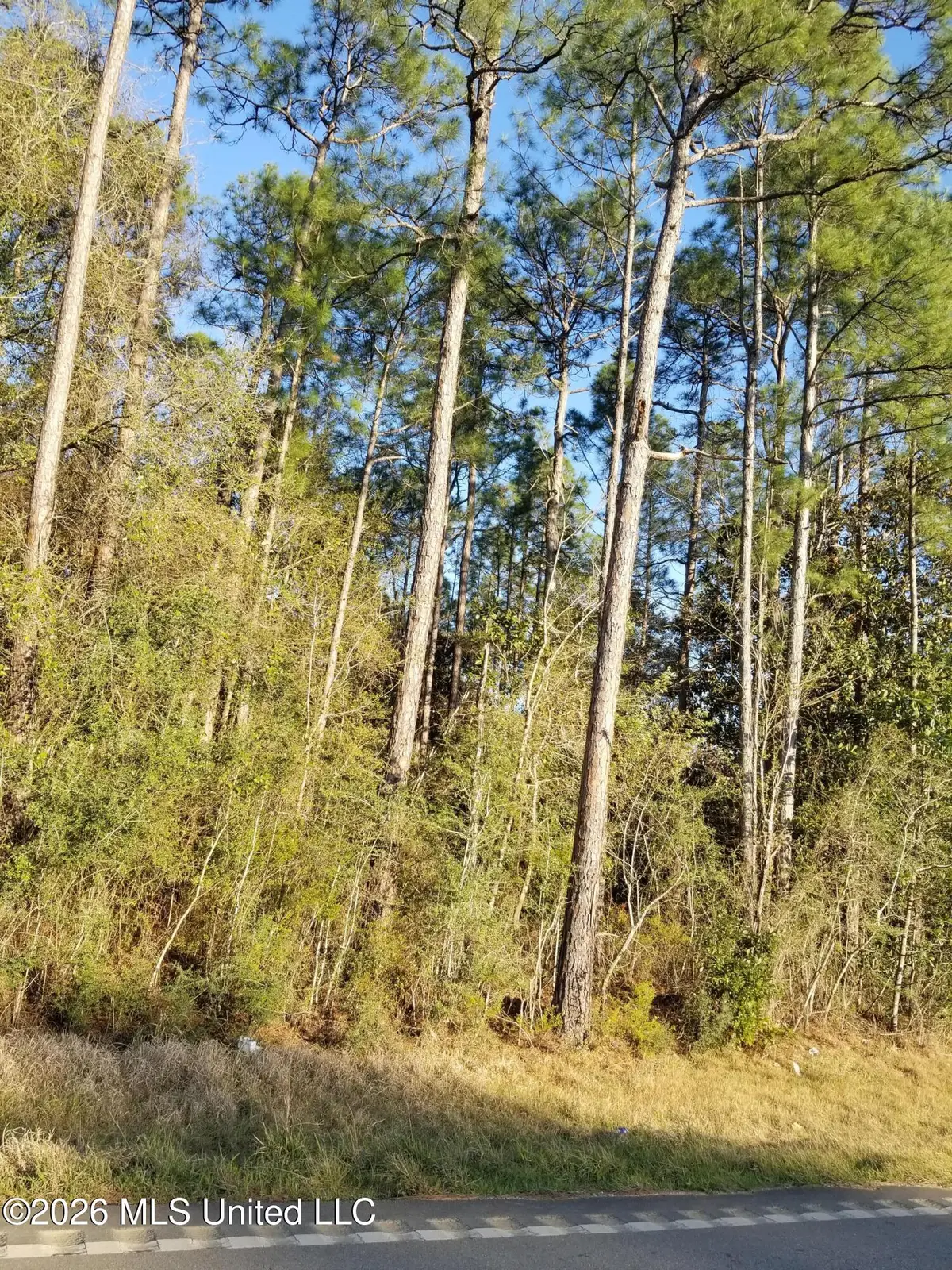 Canal Road, Gulfport, MS 39503 - #1