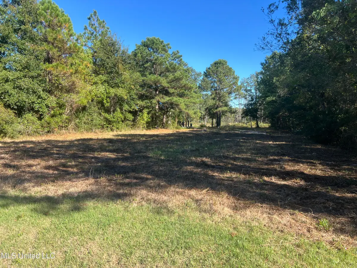 118 Engman Avenue, Bay Saint Louis, MS 39520 - #1
