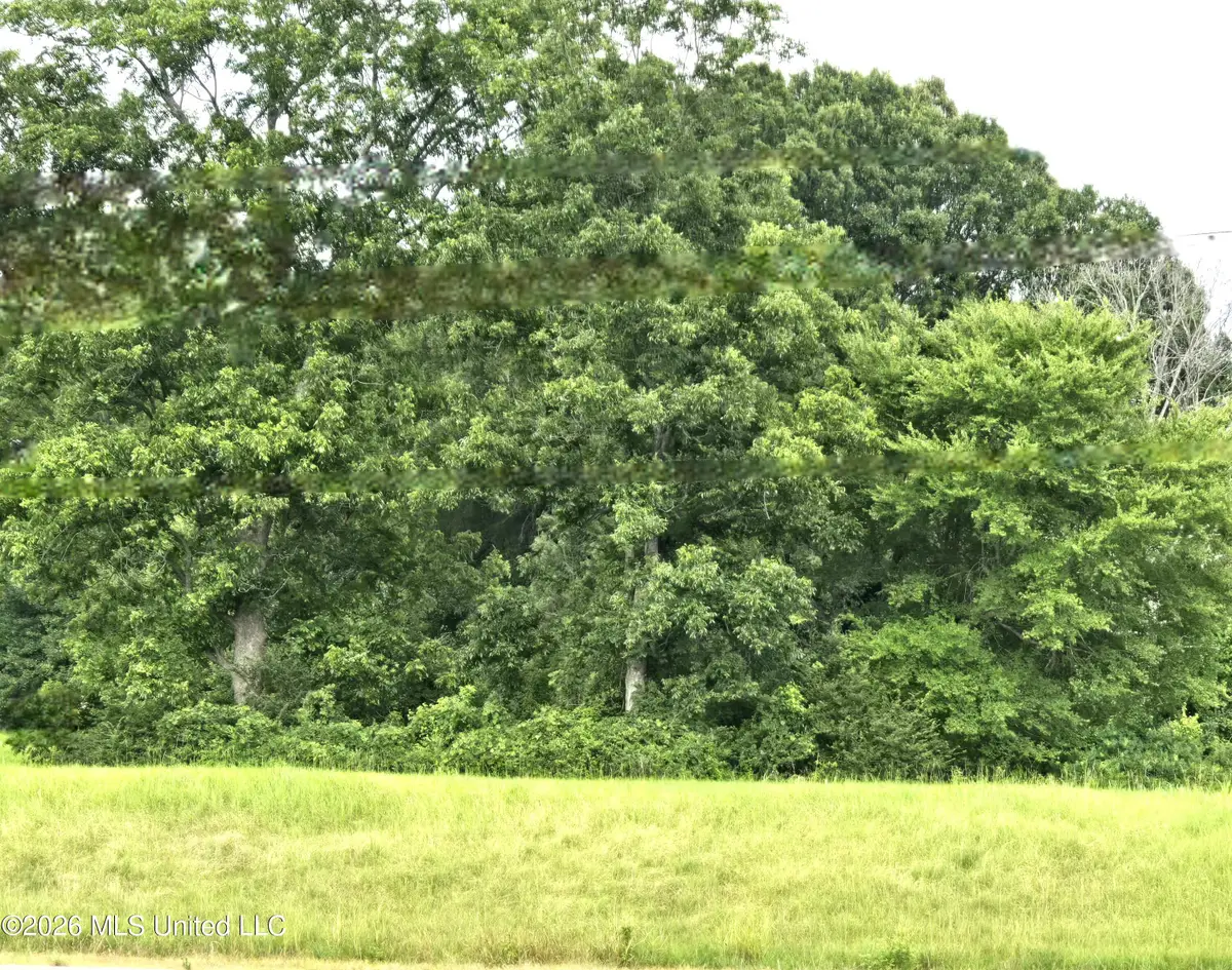 7 Gravel Springs Road, Senatobia, MS 38668 - #1