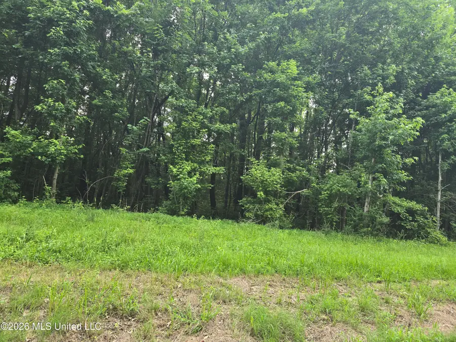 8 Gravel Springs Road, Senatobia, MS 38668 - #2