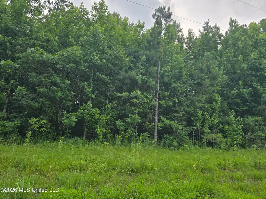 8 Gravel Springs Road, Senatobia, MS 38668 - #3