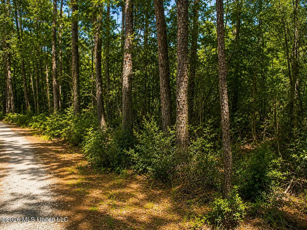 000 17th Avenue, Franklinton, LA 70438 - #1