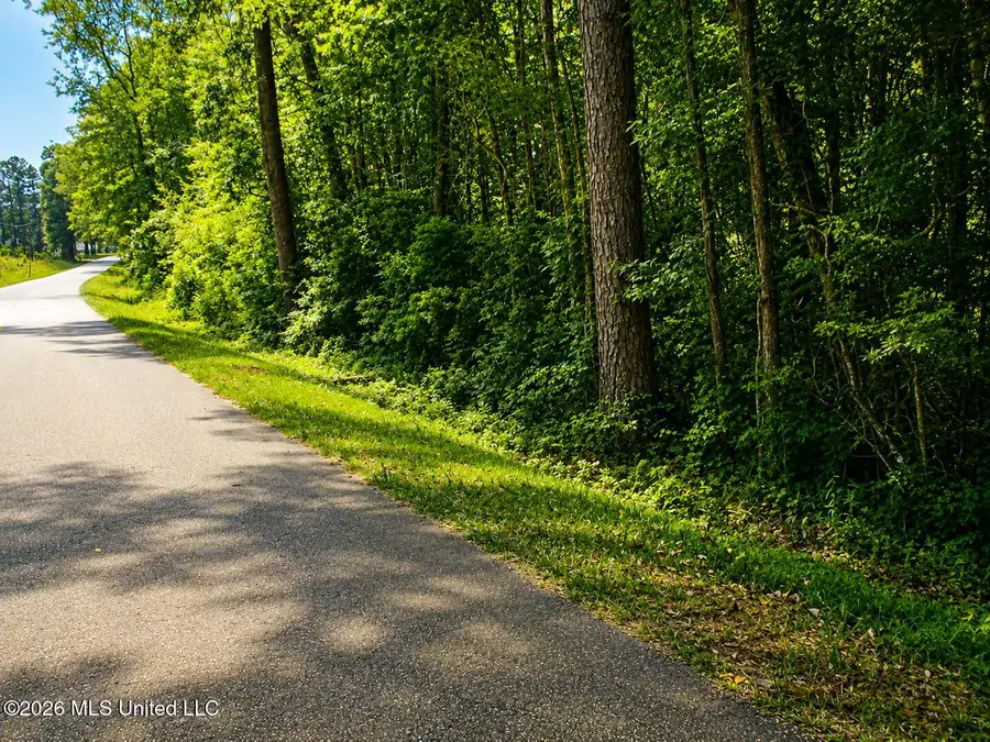 000 17th Avenue, Franklinton, LA 70438 - #2