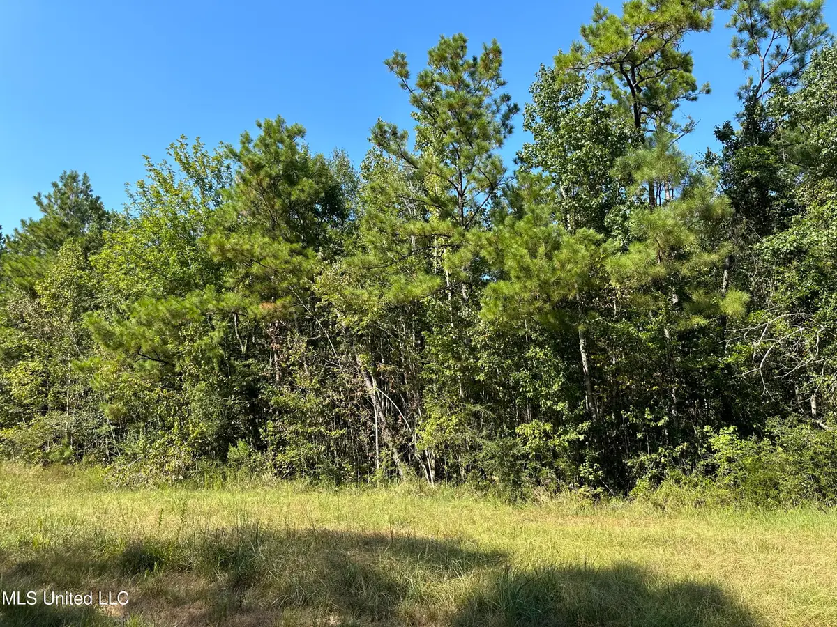 92.4 Acres Crossroads Merrill Rd., Lucedale, MS 39452 - #1