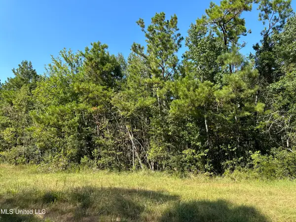 92.4 Acres Crossroads Merrill Rd., Lucedale, MS 39452