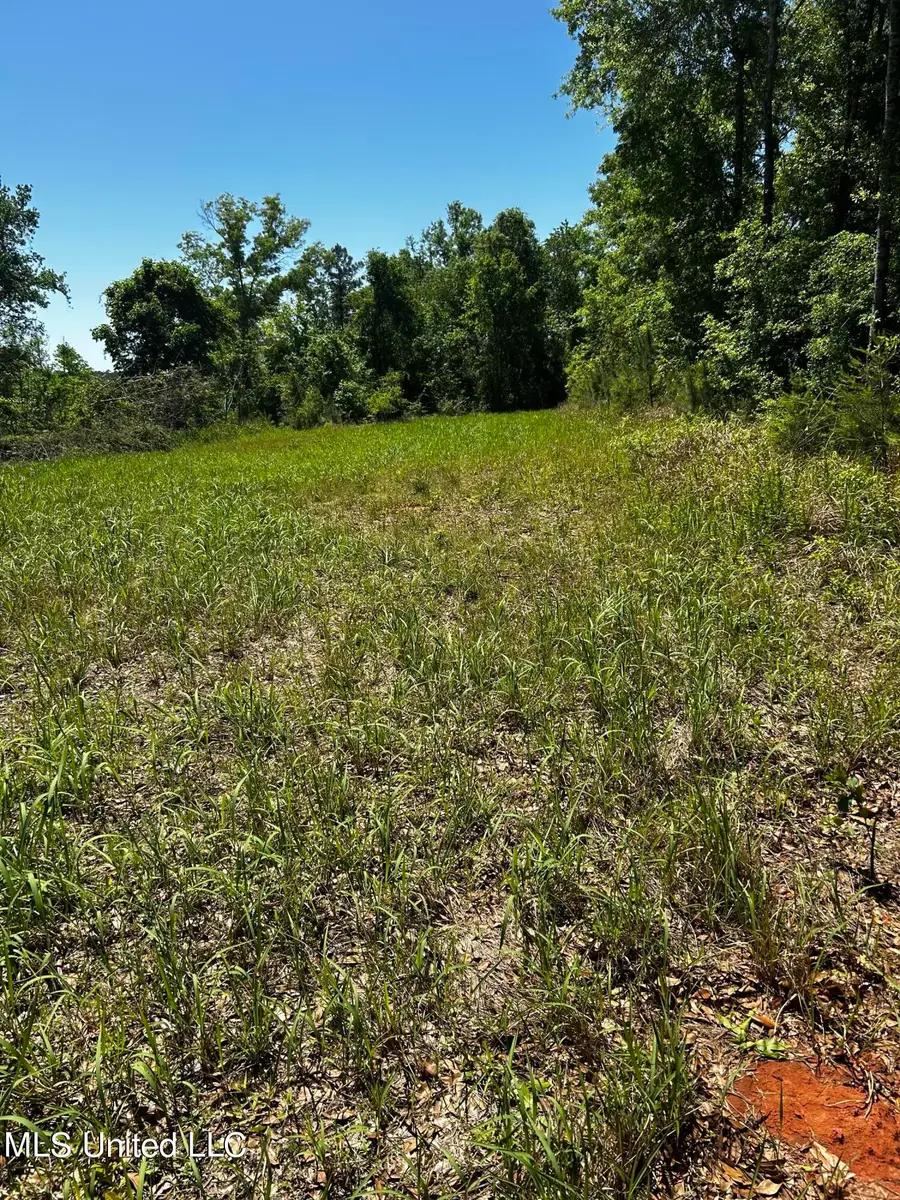 92.4 Acres Crossroads Merrill Rd., Lucedale, MS 39452 - #2