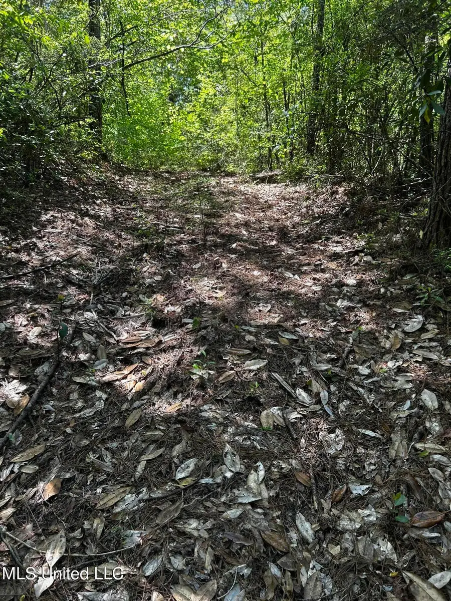 92.4 Acres Crossroads Merrill Rd., Lucedale, MS 39452 - #3