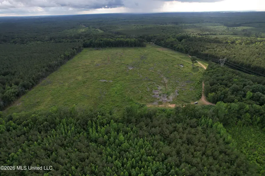 Seals Road, Weir, MS 39772 - #2