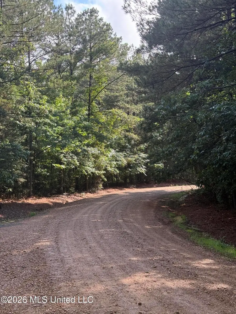 Co Rd 2136, McCool, MS 39108 - #2