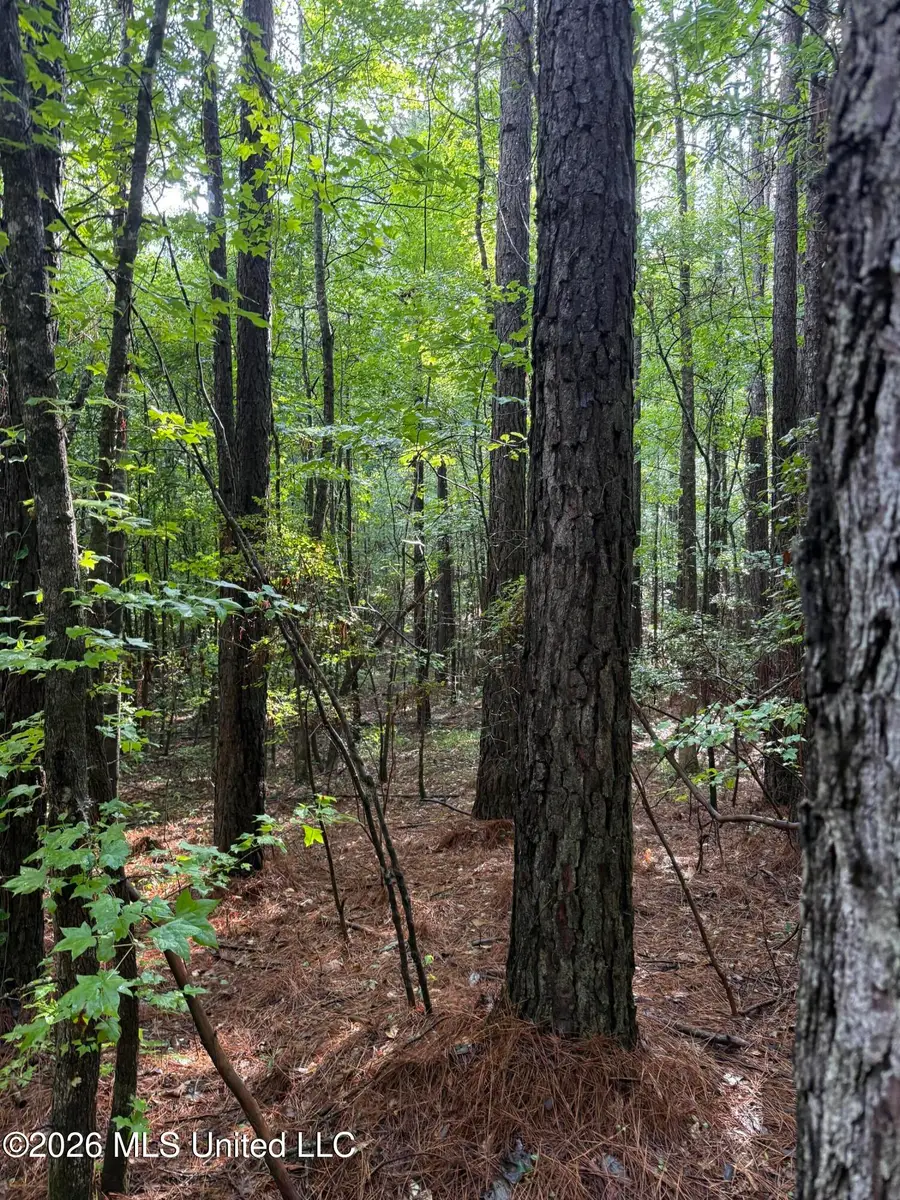 Co Rd 2136, McCool, MS 39108 - #3