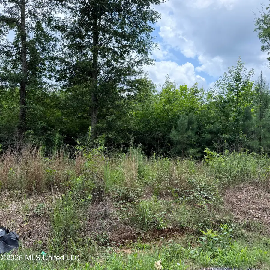 Midway Odom Road, Forest, MS 39074 - #3