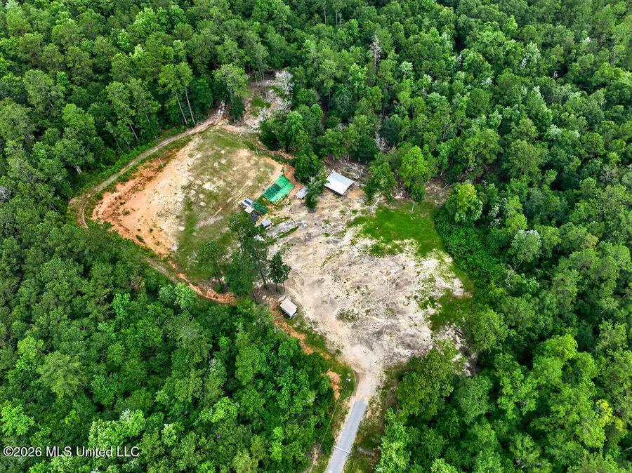 94 Desoto Road, McHenry, MS 39561 - #2