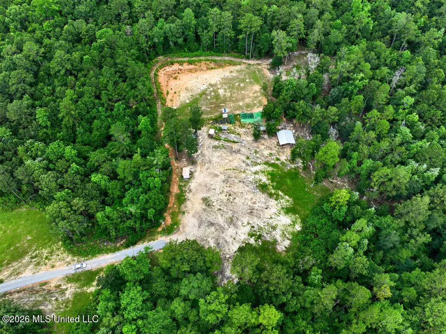 94 Desoto Road, McHenry, MS 39561 - #3