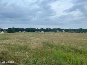 2836 Oak Grove Cove, Hernando, MS 38632 - #1