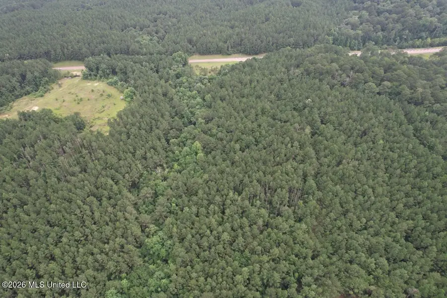 2684 Ms 33, Crosby, MS 39633 - #3