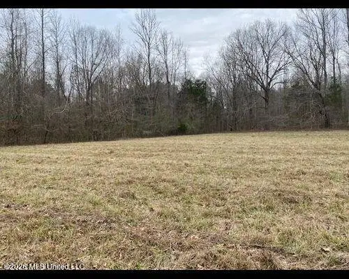 19576 Mississippi 6, Batesville, MS 38606 - #3