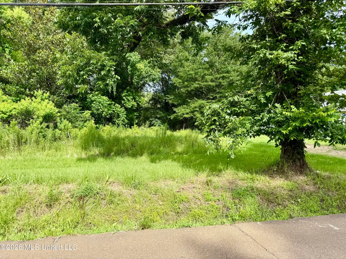 341 Miller Street, Canton, MS 39046 - #1