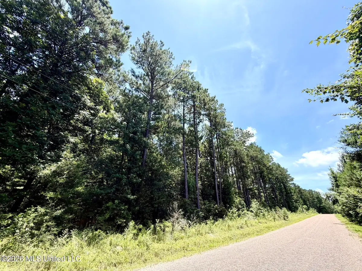 2497 SW Linfrank Line Drive, Smithdale, MS 39664 - #1
