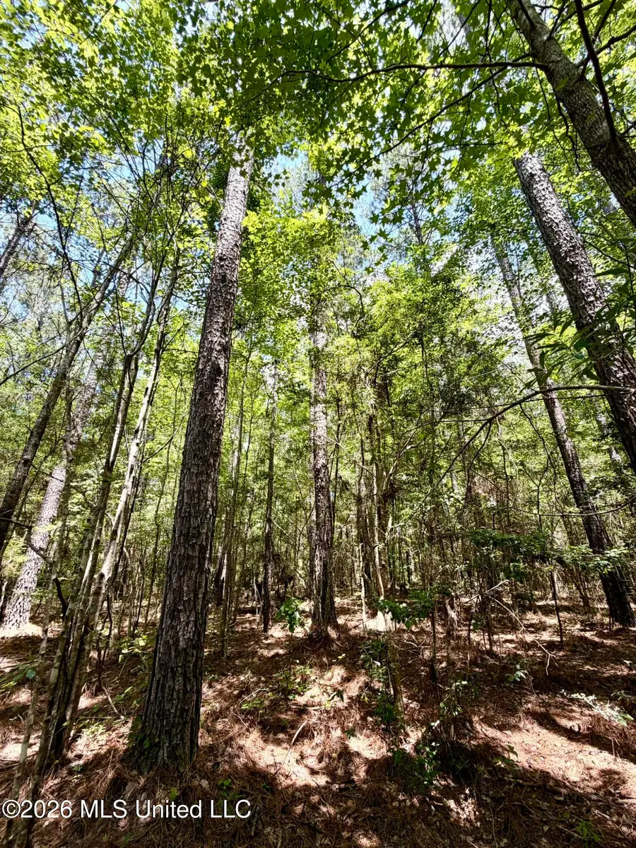 SW Linfrank Line Drive, Smithdale, MS 39664 - #2